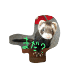 みんな大好きフェレット（個別スタンプ：23）