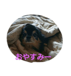 ゆめいっぱい（個別スタンプ：6）