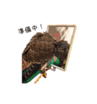 フクロウのお庭 ゆるフワ可愛いふくろうズ（個別スタンプ：28）