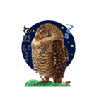 フクロウのお庭 ゆるフワ可愛いふくろうズ（個別スタンプ：32）