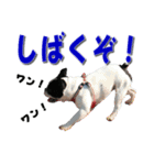 フレンチブルドッグのモモ【大阪弁】（個別スタンプ：18）
