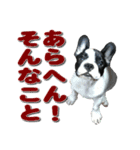 フレンチブルドッグのモモ【大阪弁】（個別スタンプ：36）