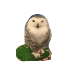 Owl(^^)（個別スタンプ：2）