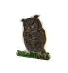 Owl(^^)（個別スタンプ：4）