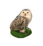 Owl(^^)（個別スタンプ：8）