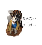 変な犬 くぅ2（個別スタンプ：5）