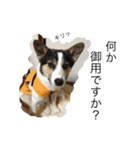 変な犬 くぅ2（個別スタンプ：21）
