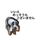 変な犬 くぅ2（個別スタンプ：32）