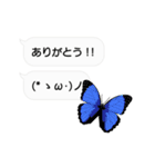 ちょうちょ×ふきだし×ちょっと動く顔文字（個別スタンプ：2）