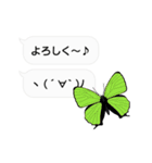 ちょうちょ×ふきだし×ちょっと動く顔文字（個別スタンプ：4）