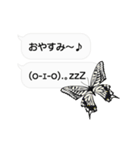 ちょうちょ×ふきだし×ちょっと動く顔文字（個別スタンプ：6）