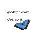 ちょうちょ×ふきだし×ちょっと動く顔文字（個別スタンプ：8）