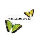 ちょうちょ×ふきだし×ちょっと動く顔文字（個別スタンプ：13）