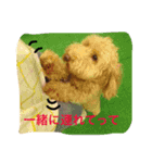 オリーブオリーブオリーブ（個別スタンプ：1）