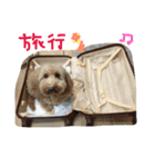 オリーブオリーブオリーブ（個別スタンプ：5）