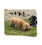 オリーブオリーブオリーブ（個別スタンプ：6）