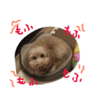 オリーブオリーブオリーブ（個別スタンプ：9）