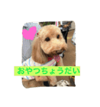 オリーブオリーブオリーブ（個別スタンプ：15）