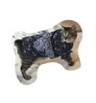 catttttooo（個別スタンプ：4）