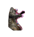 catttttooo（個別スタンプ：5）