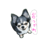 毎日rmsk 2（個別スタンプ：4）