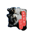 毎日rmsk 2（個別スタンプ：6）