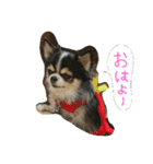毎日rmsk 2（個別スタンプ：8）