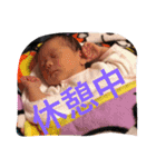 HANAMPP（個別スタンプ：12）