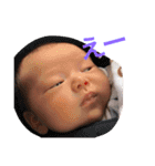 HANAMPP（個別スタンプ：17）