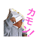 HANAMPP（個別スタンプ：21）