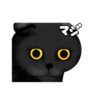 黒猫のアニメーションスタンプ（個別スタンプ：2）