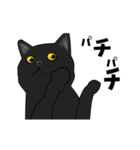 黒猫のアニメーションスタンプ（個別スタンプ：3）
