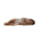 AOTOmAm（個別スタンプ：11）