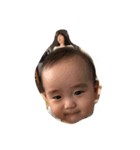 AOTOmAm（個別スタンプ：12）