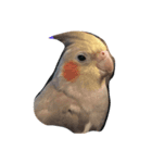 Oph Pets（個別スタンプ：8）