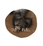 ソフィーちゃんの一日（個別スタンプ：3）