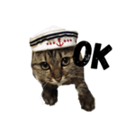ふわ猫『ジルたん日記』（個別スタンプ：15）