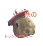 忙しい（個別スタンプ：9）