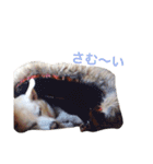 ramus+（個別スタンプ：7）