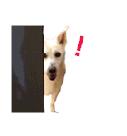 ramus+（個別スタンプ：13）