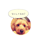 にいなのすけ（個別スタンプ：1）