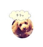 にいなのすけ（個別スタンプ：2）