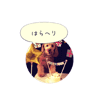 にいなのすけ（個別スタンプ：3）