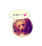 にいなのすけ（個別スタンプ：4）