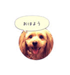 にいなのすけ（個別スタンプ：5）
