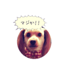 にいなのすけ（個別スタンプ：6）