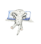 likelife（個別スタンプ：5）