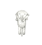 likelife（個別スタンプ：14）