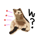 最強の猫たち（個別スタンプ：6）