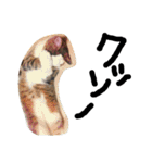 最強の猫たち（個別スタンプ：37）